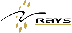 Rays Techserv