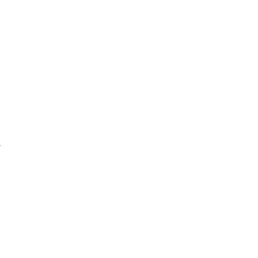 Rays TechServ CA