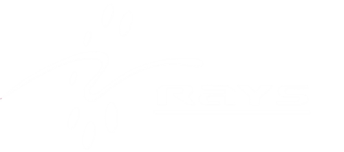 Raye Techserv